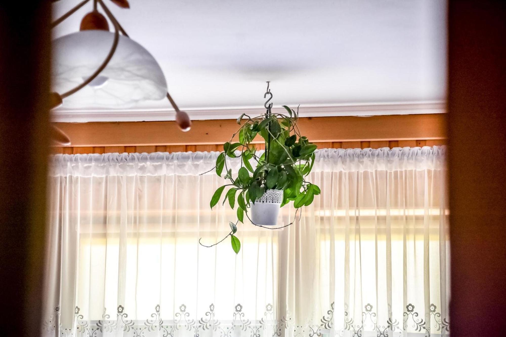 Apartamento Rysiówka Poronin Exterior foto
